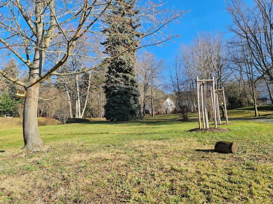 Appartements In Schoner Burganlage Jena Bagian luar foto