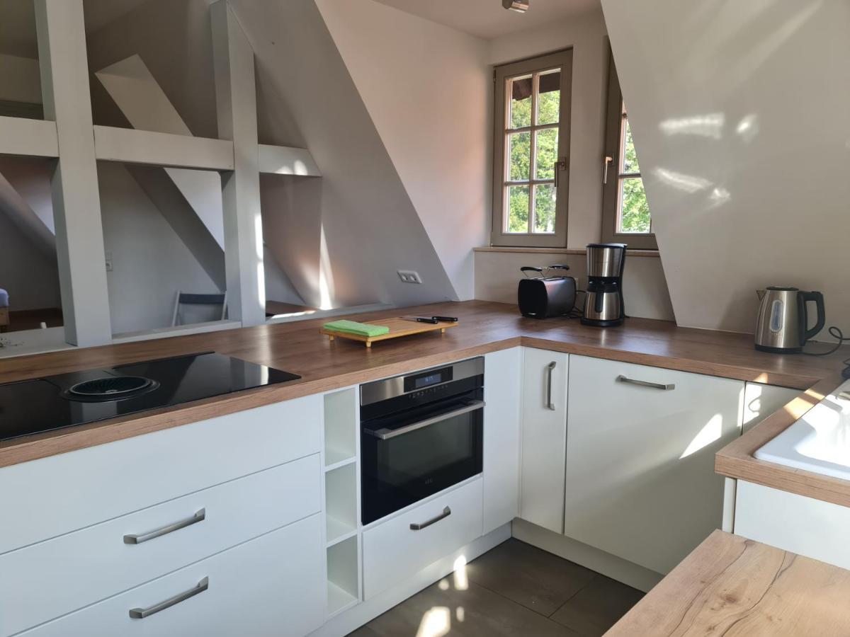 Appartements In Schoner Burganlage Jena Bagian luar foto